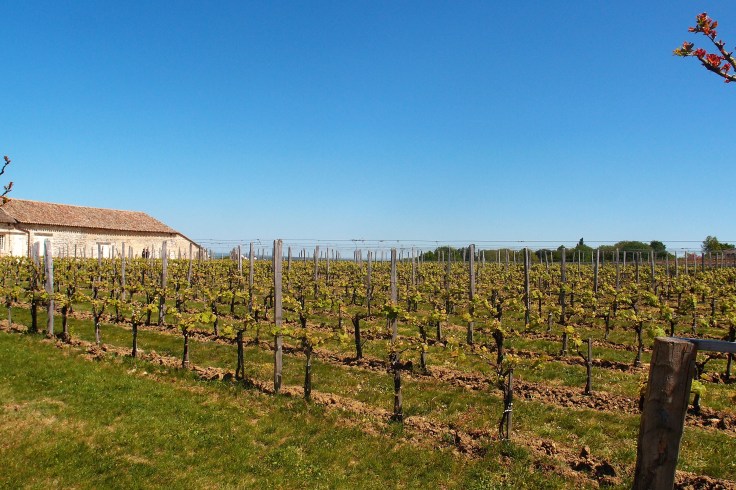 Perigord día 3 (17).jpg