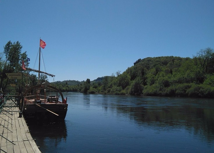 WhatsApp Image 2017-06-20 at 23.50.12 (1)