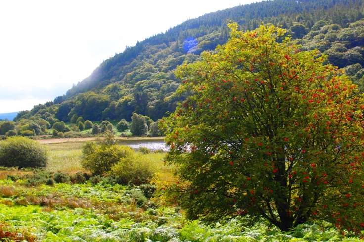 Glendalough