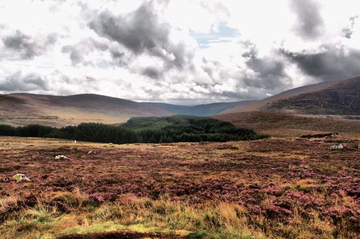 Turlough Hill
