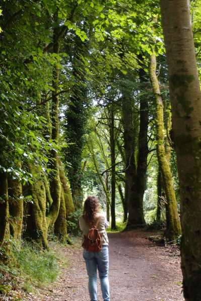 Killarney National Park