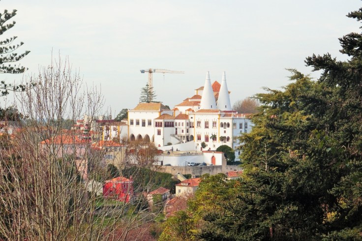 WhatsApp Image 2018-02-11 at 19.10.12 (8)