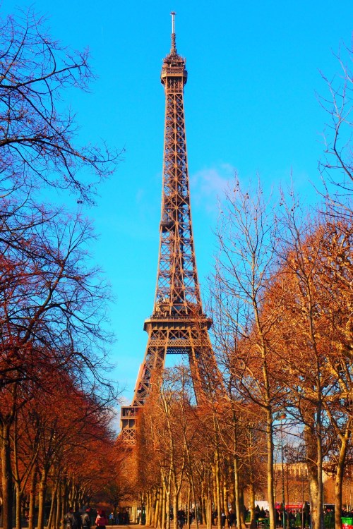 WhatsApp Image 2018-03-14 at 16.19.09 (14)