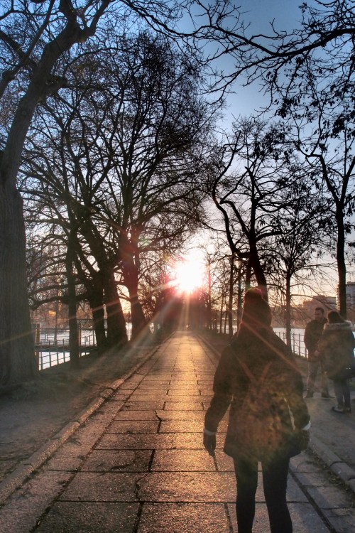 WhatsApp Image 2018-03-14 at 16.19.09 (9)