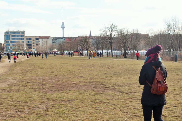 WhatsApp Image 2018-04-25 at 18.29.58 (3)