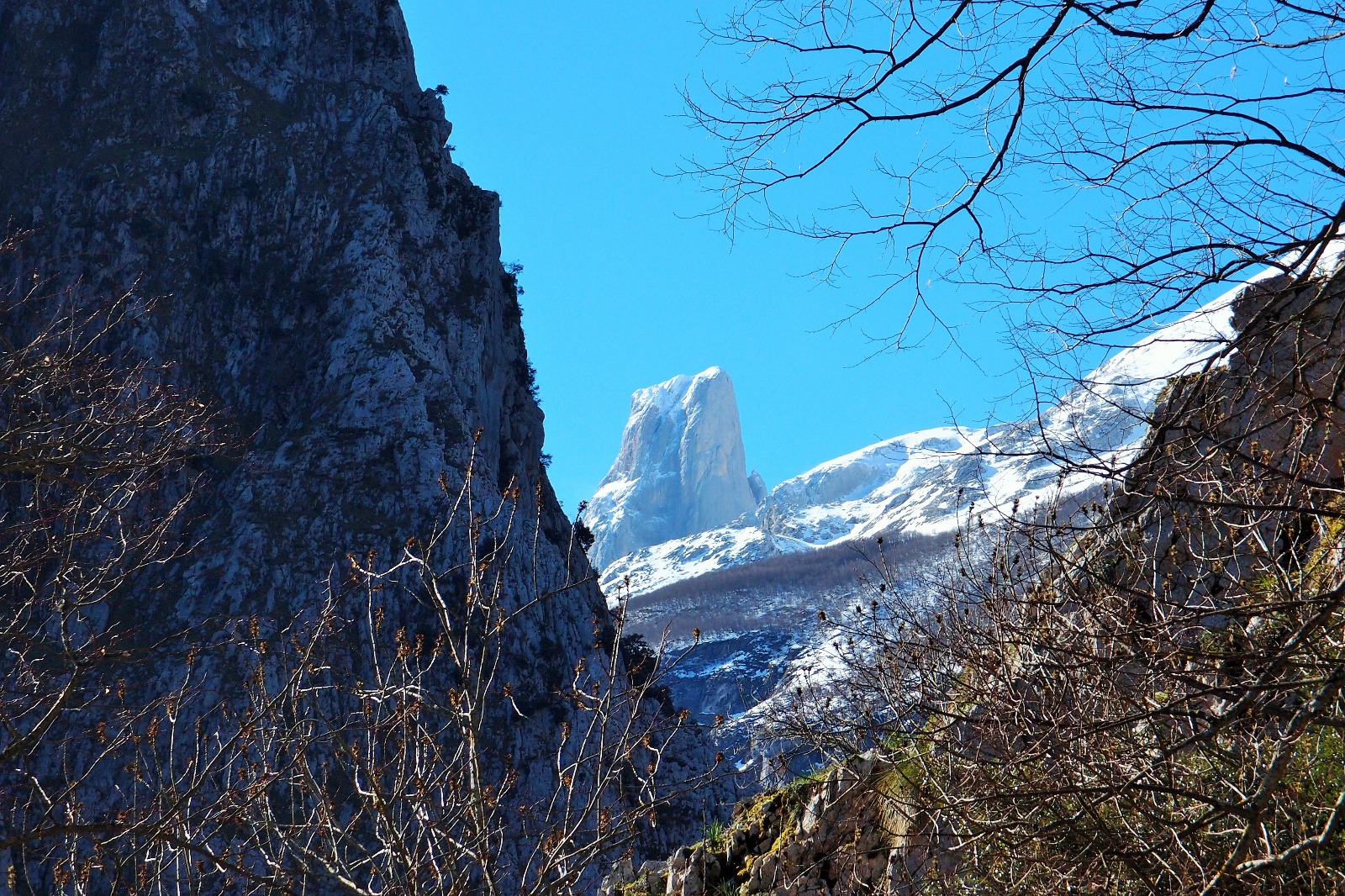 Naranjo de Bulnes