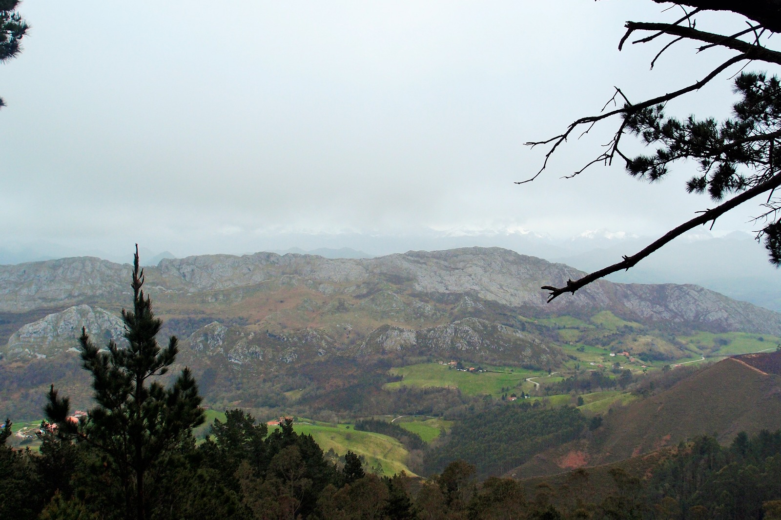 WhatsApp Image 2018-05-23 at 15.50.12 (24)