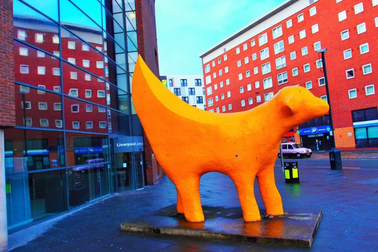 WhatsApp Image 2018-06-06 at 19.46.42 (26)