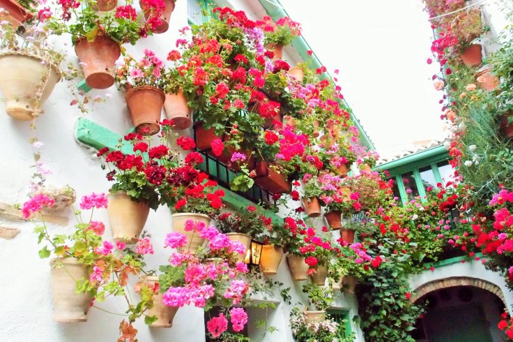 patios de Córdoba