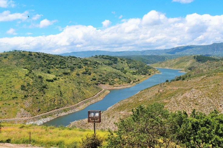 WhatsApp Image 2018-07-09 at 14.46.10