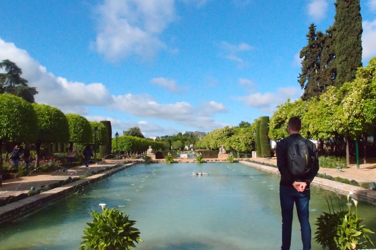 WhatsApp Image 2018-07-19 at 08.59.25