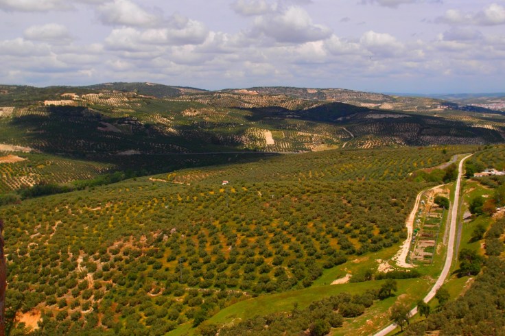 Vistas desde la plaza del castillo