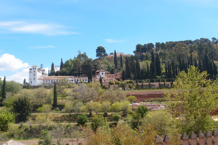 WhatsApp Image 2018-08-13 at 20.25.01 (5)