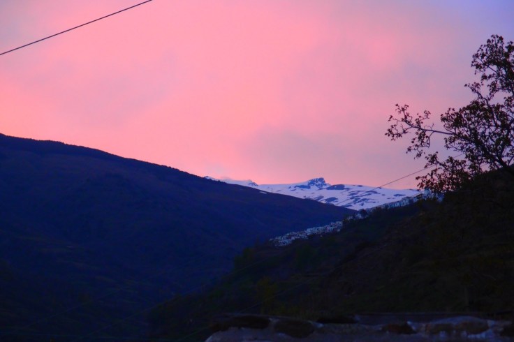 WhatsApp Image 2018-08-22 at 13.28.14 (13)