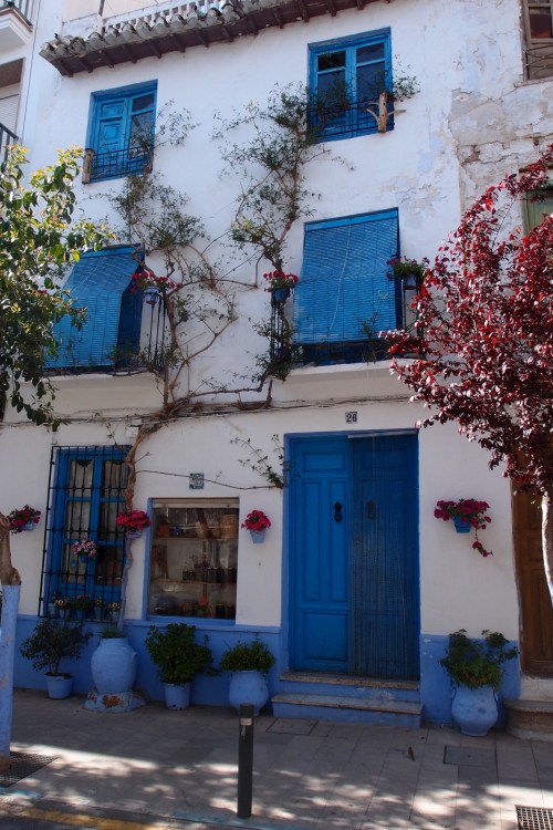 WhatsApp Image 2018-08-22 at 13.28.14 (19)