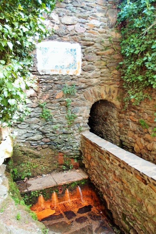 WhatsApp Image 2018-08-22 at 13.28.14 (4)