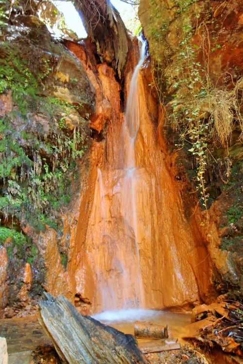 WhatsApp Image 2018-08-22 at 13.28.14 (5)