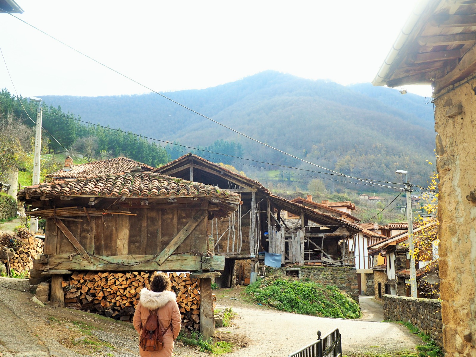 WhatsApp Image 2019-01-01 at 16.57.56 (10)