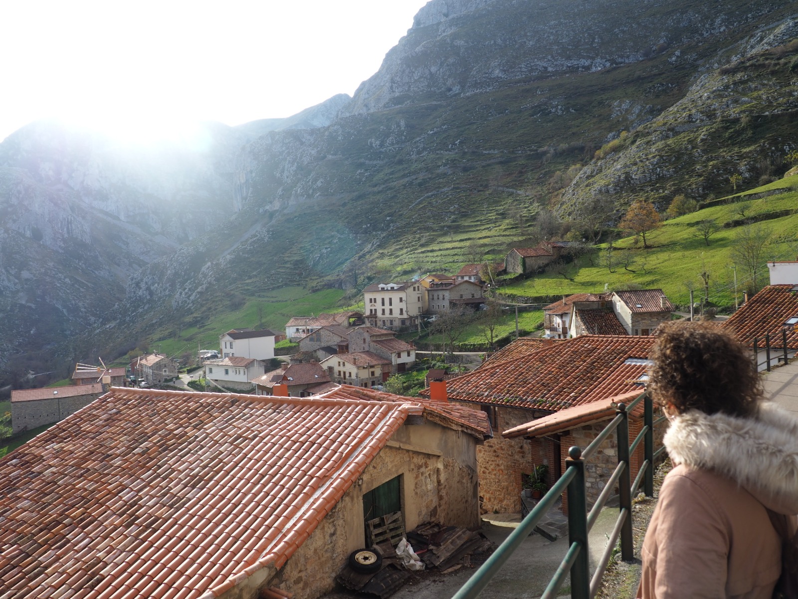 WhatsApp Image 2019-01-01 at 16.57.56 (12)