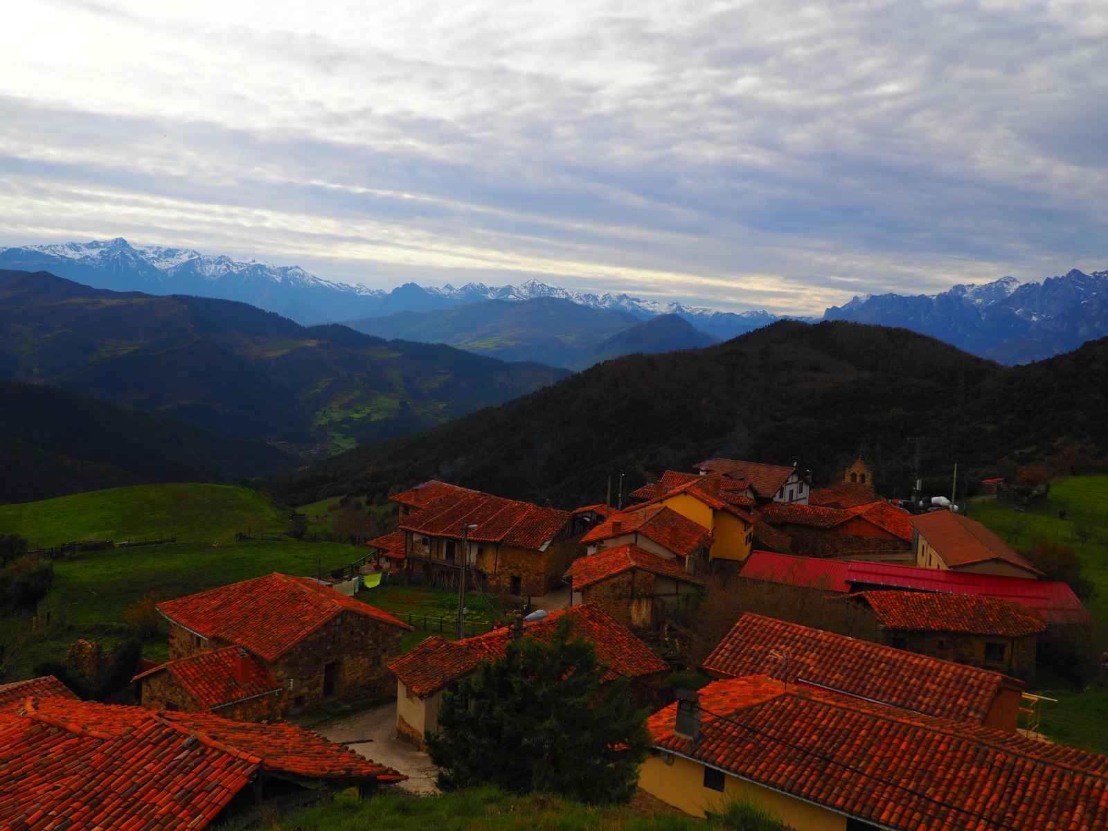 WhatsApp Image 2019-01-01 at 16.57.56 (2)