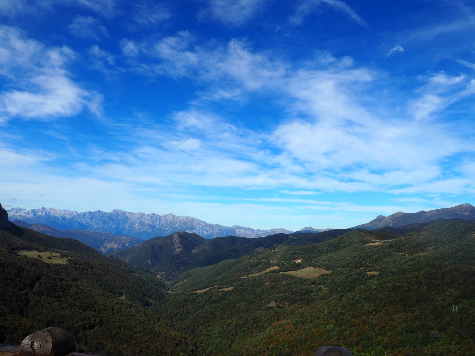 WhatsApp Image 2019-01-01 at 16.57.56 (29)