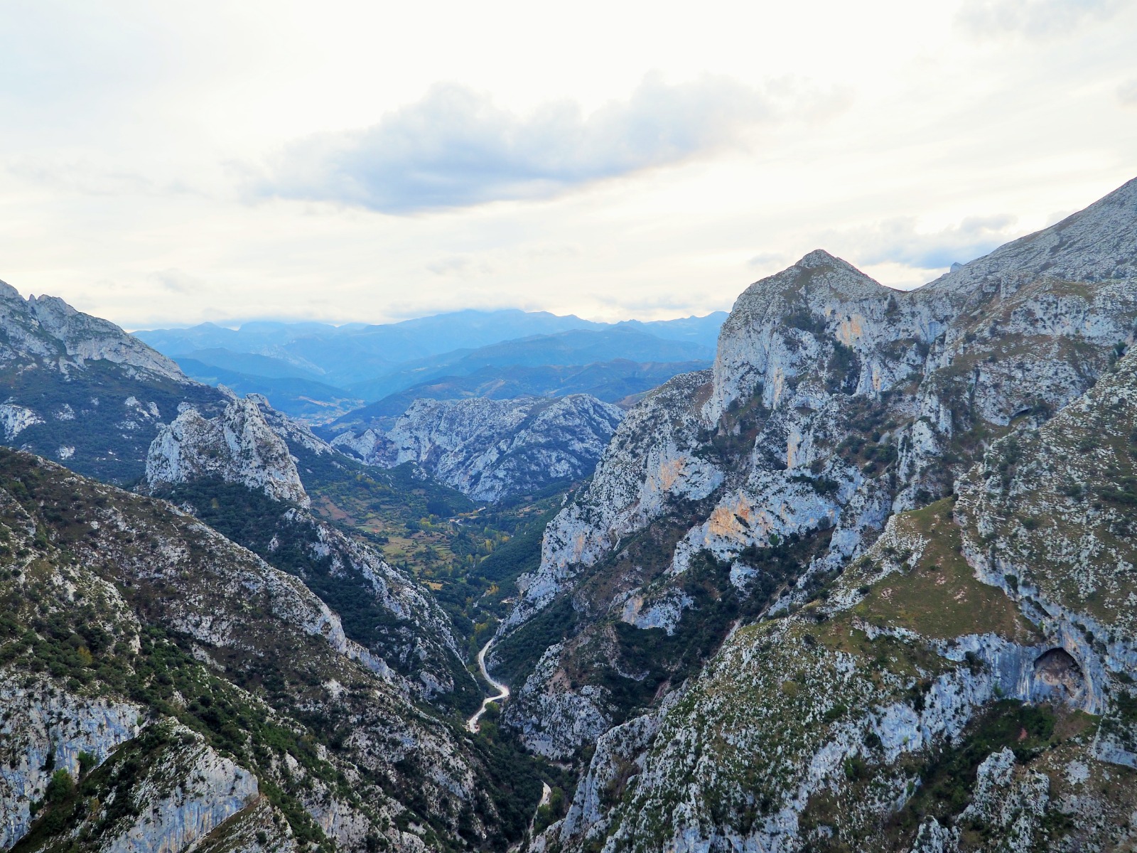 WhatsApp Image 2019-01-01 at 16.57.56 (33)