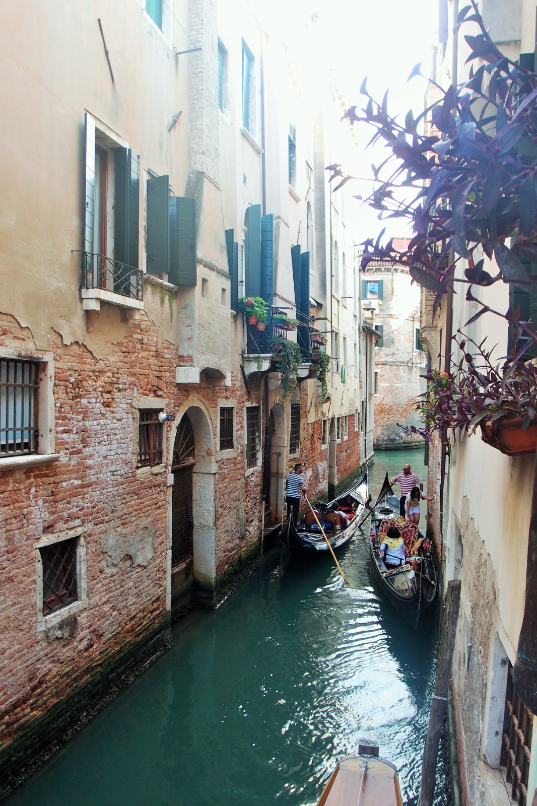 Venecia 10