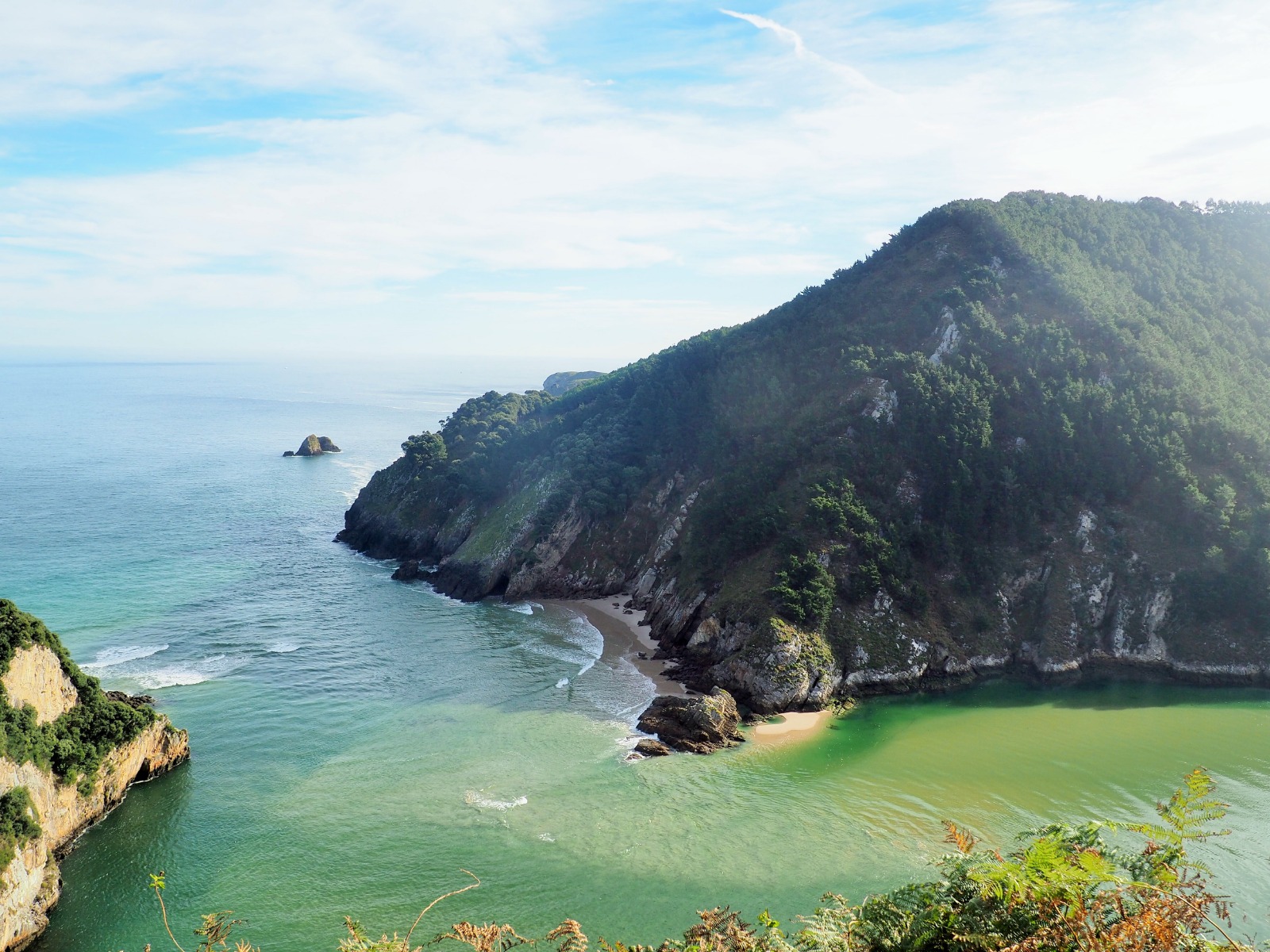 WhatsApp Image 2019-02-10 at 17.25.11 (6)