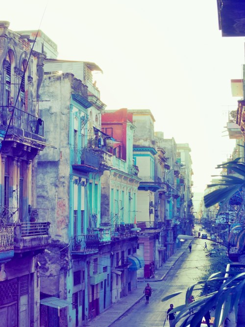 WhatsApp Image 2019-03-10 at 19.06.06 (21)