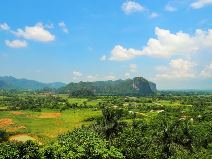 WhatsApp Image 2019-04-24 at 20.42.32 (15)