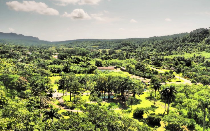 WhatsApp Image 2019-04-24 at 20.42.32 (17)