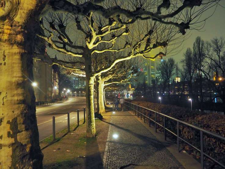 Frankfurt (10)