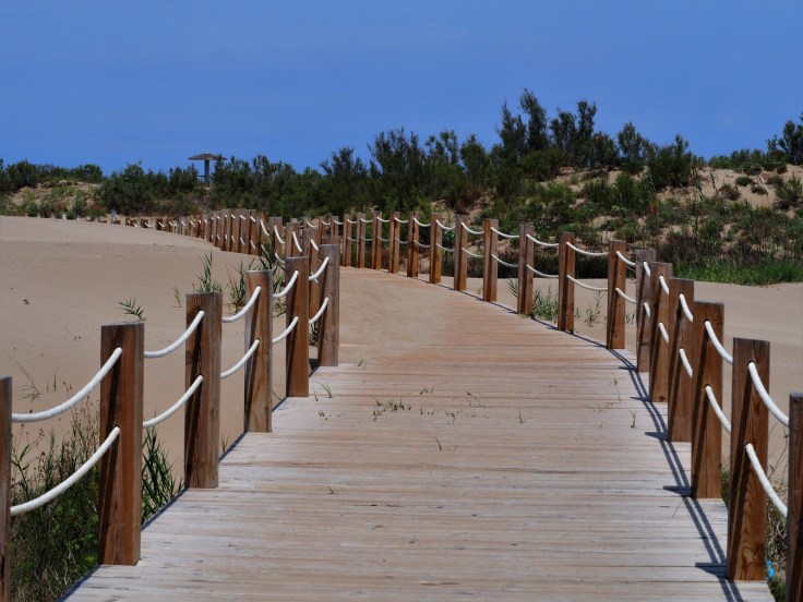 DELTA DEL EBRO (5).jpeg