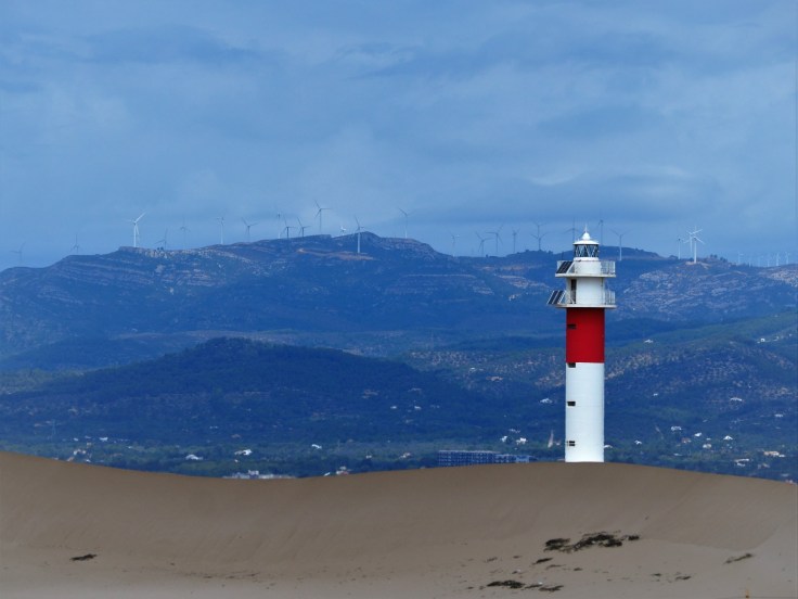 DELTA DEL EBRO (6).jpeg